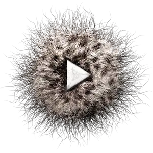 Listen to Phaune radio  live online