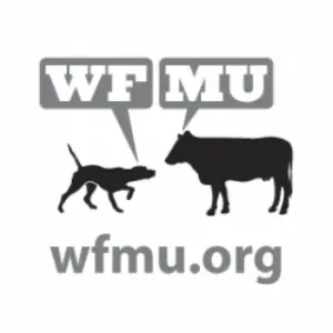 Listen to WMFU FM 91.1 live online